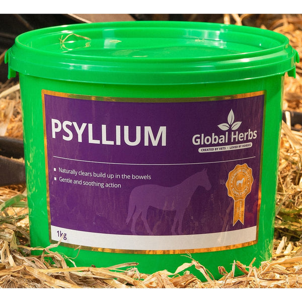 Global Herbs Psyllium Husks Bowel Comfort Support Horse Constipation Supplement