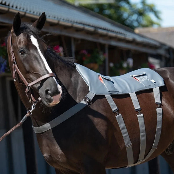 Equilibrium Massage Pad Horse Back Circulation Muscle Relax Pony, Standard and XL