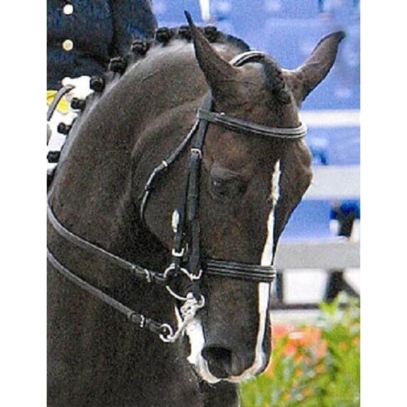 Amerigo Vespucci Padded Double Weymouth BRIDLE with Reins Black/Brown Cob/Full