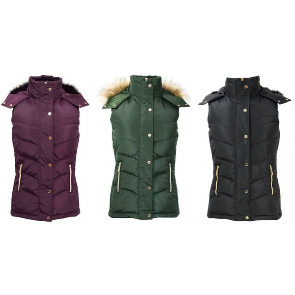 Coldstream Leitholm Quilted Gilet Riding Vest Black/Fern Green/Purple XS - XL