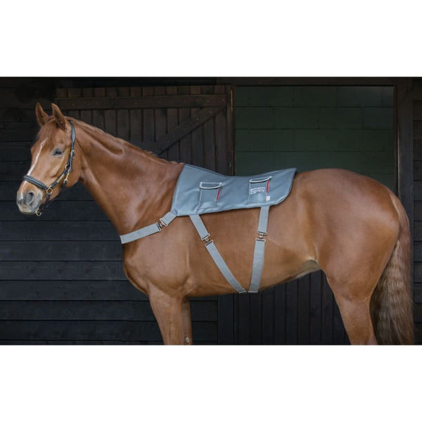 Equilibrium Massage Pad Horse Back Circulation Muscle Relax Pony, Standard and XL