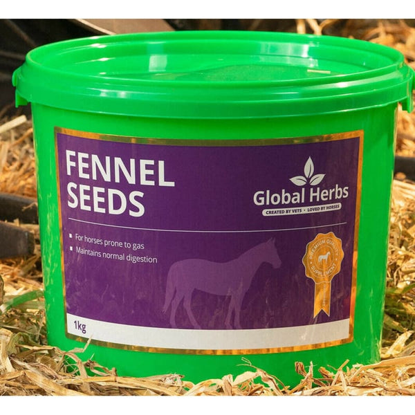 Global Herbs Fennel Seeds Gas Bloating Horse Digestion Gut Comfort Supplement