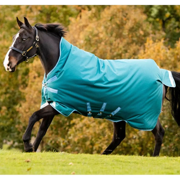 Horseware Amigo Bravo 12 Wug Turnout Rug High Neck Heavyweight 400g 5'6' - 7'3'