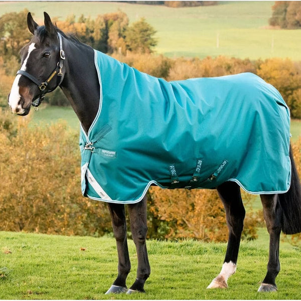 Horseware Amigo Bravo 12 Wug Turnout Rug High Neck Mediumweight 250g 5'6'-7'3'