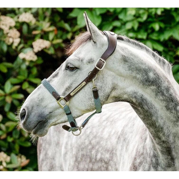 Horseware Signature Braided Headcollar Padded Adjustable Luxury Head Collar