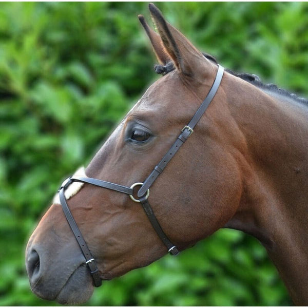 Hy Equestrian Mexican Grackle Nose Band Leather Noseband Black/Brown Cob/Full