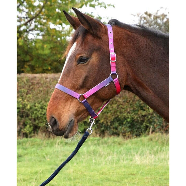 Hy Equestrian Ombre Head Collar and Lead Rope Set Teal/Blue/Pink/Purple/Rainbow