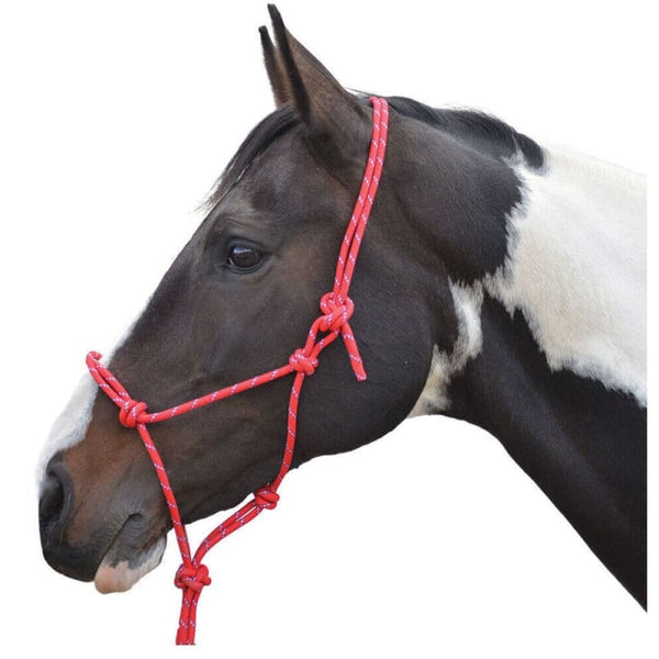 Hy Equestrian Rope Halter Pressure Control Halter Black/Red/Navy Cob/Full Size