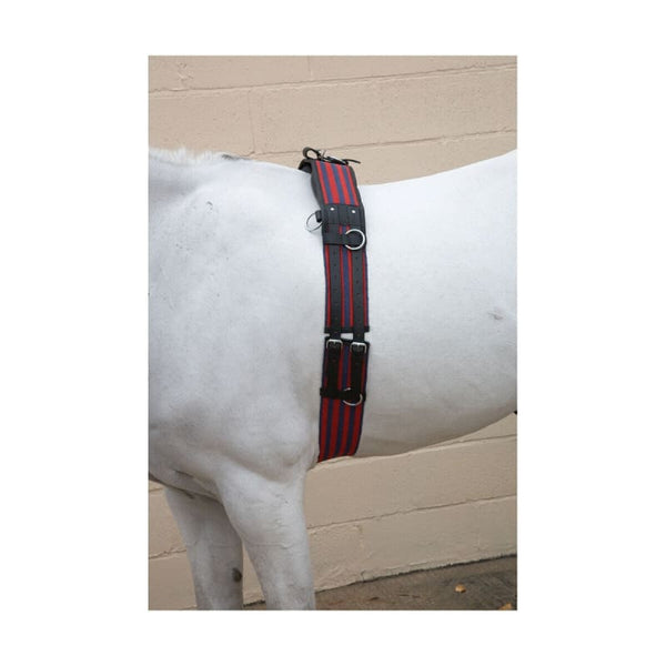 Hy Equestrian Training Roller Adjustable Webbing and Leather Lunge Roller Cob/Full