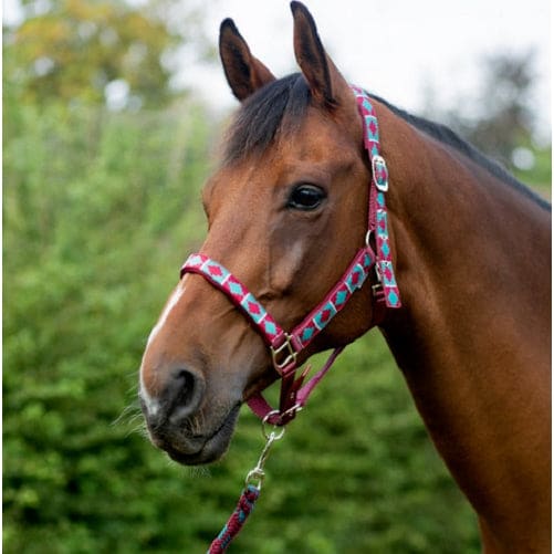 Hy Equestrian Woven Polo Head Collar and Lead Rope Set with Aztec Style Detailing