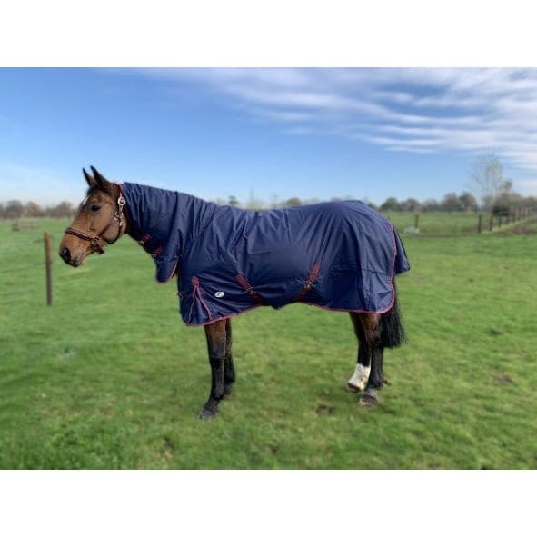 JHL Essential Mediumweight Combo Turnout Rug With Full Neck 200G 600D 5'6-7'0