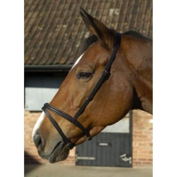 JHL Flash Noseband Leather Single Buckle Nose Band Attachment Pony/Cob/Full