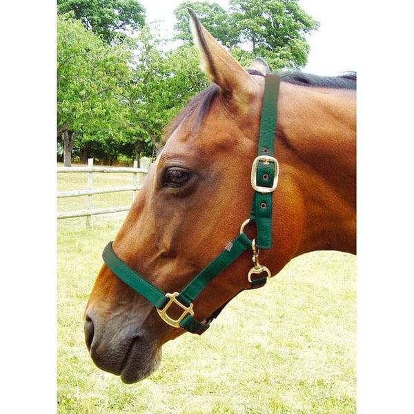 JHL Padded Nylon Webbing Headcollar With Brass Throat Clip and Buckles Pony-Full