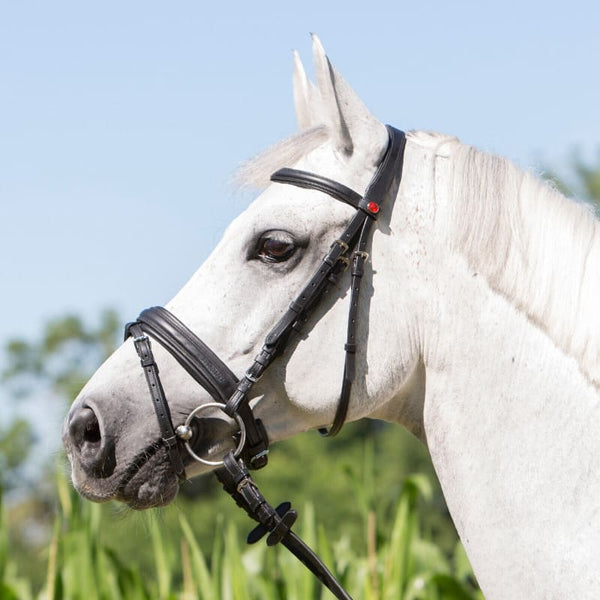 Kieffer Ergonomic Ultrasoft Economy Padded Snaffle Flash Bridle and Reins Cob/Full