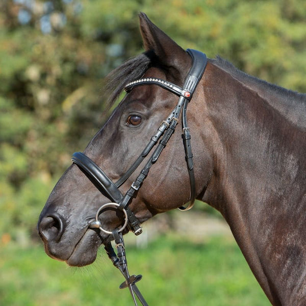 Kieffer Ergonomic Ultrasoft Sue Padded Snaffle Cavesson Bridle and Reins Cob/Full