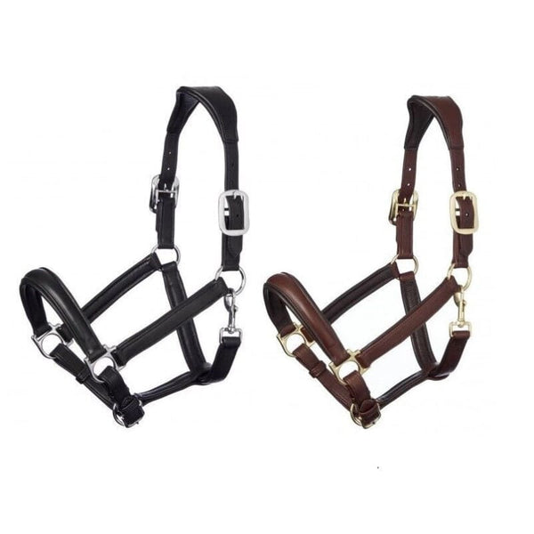 LeMieux Anatomic Ergonomic Padded Leather Headcollar Brass Black/Brown Cob/Full