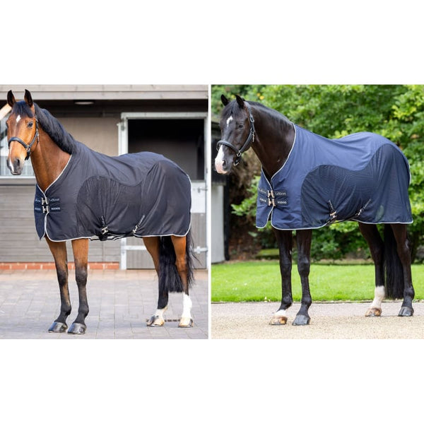 LeMieux Kudos Hybrid Cooler Wicking Muscle Post Exercise Rug Black/Blue 5'6-7'0