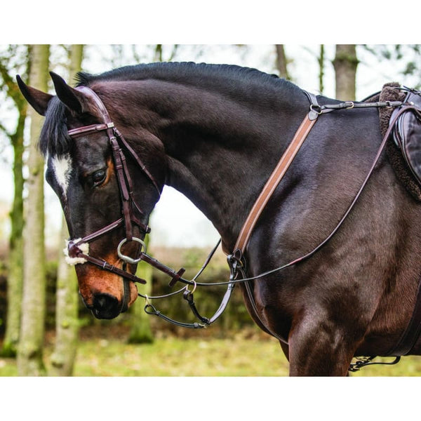 Mark Todd 3 Point Elastic Leather Breastplate Brass Fittings Black Havana Full