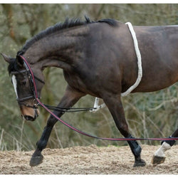 Mark Todd Ladies Grip Riding Leggings - Cork Farm Equestrian