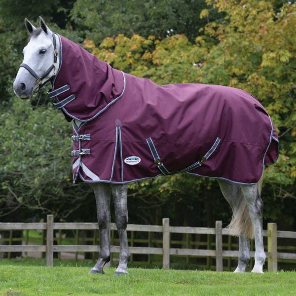 WeatherBeeta ComFiTec Plus Dynamic II Detach-A-Neck Medium/Lite 100g Turnout Rug