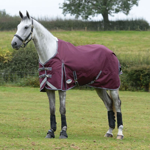 WeatherBeeta ComFiTec Plus Dynamic II Standard Neck Lite Weight 0g Turnout Rug