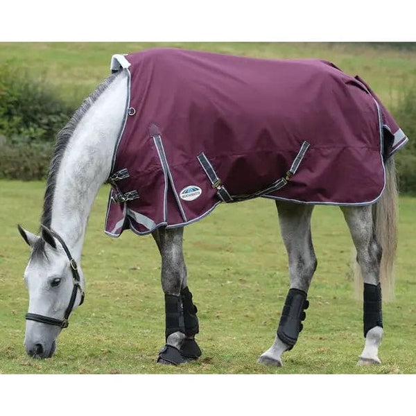 WeatherBeeta ComFiTec Plus Dynamic II Standard Neck Medium/Lite 100g Turnout Rug