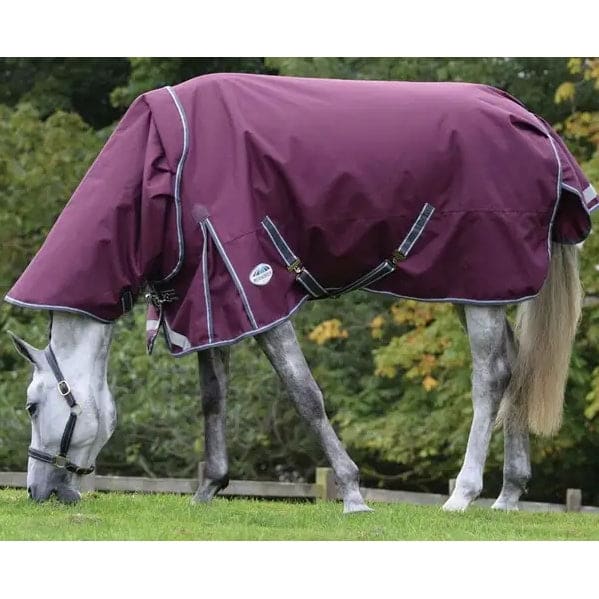 WeatherBeeta ComFiTec Plus DynamicII Detach-A-Neck Heavy Weight 360g Turnout Rug