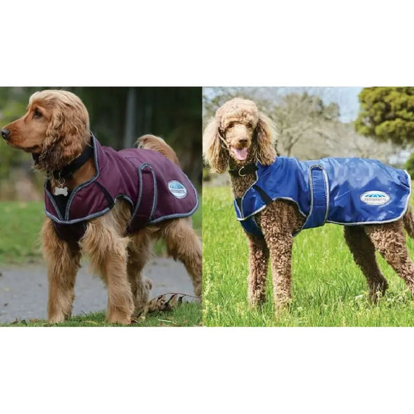 WeatherBeeta ComFiTec Windbreaker Free Deluxe Dog Coat Withj Chest and Belly Wrap