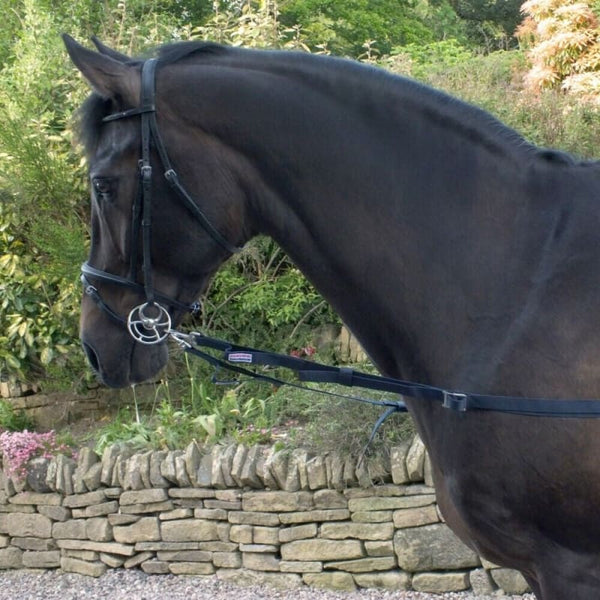 Whitaker Elasticated Side Reins Encourages Correct Positioning Navy One Size