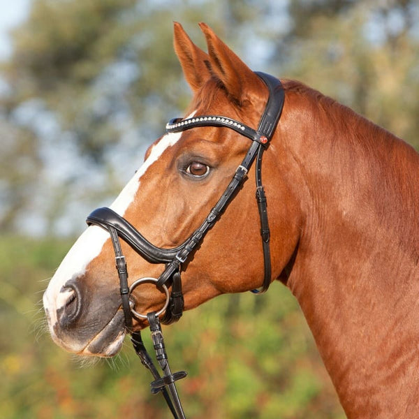 Kieffer Ergonomic Ultrasoft Amy Padded Snaffle Crank Flash Bridle